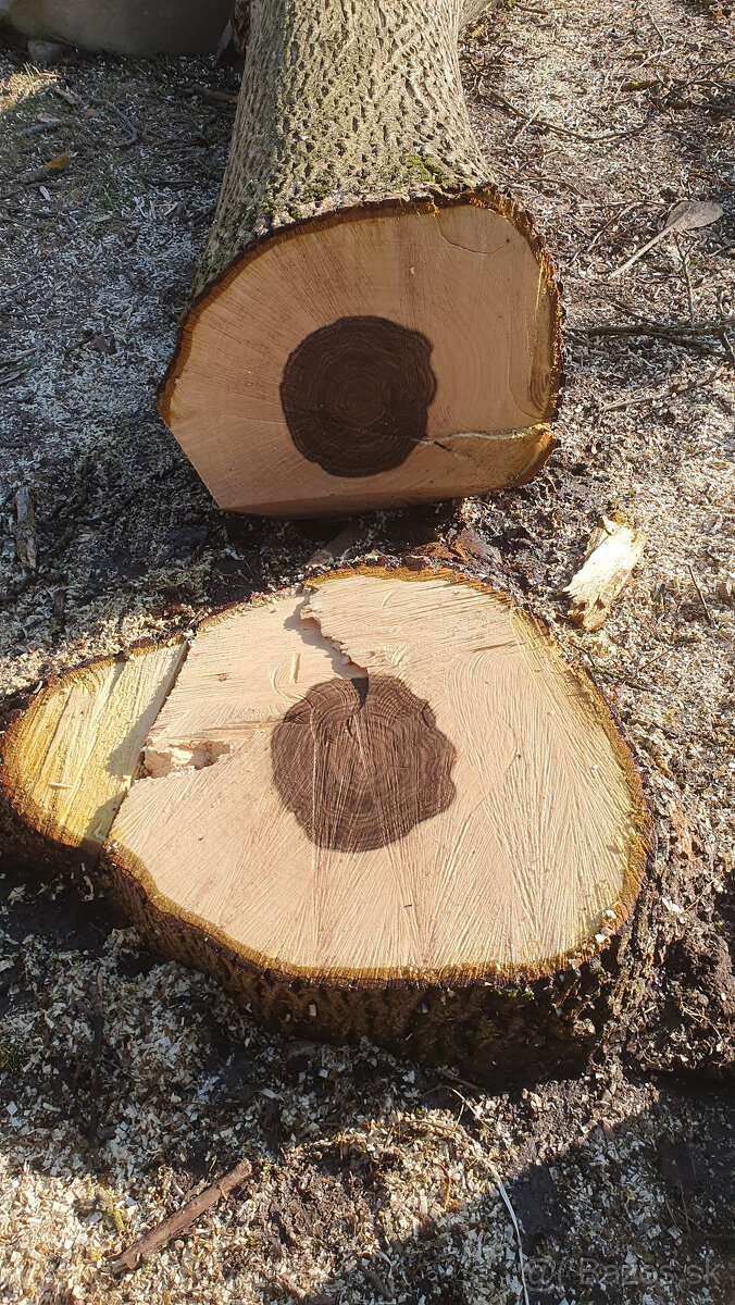 Predám orechové drevo - 2