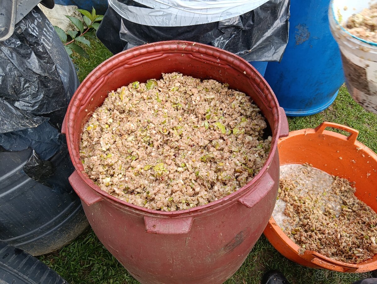 Predám čerstve mleté hrušky na kvas - 2