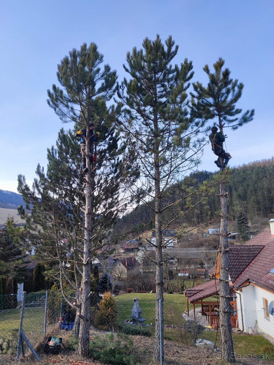 Záhrada zelená strecha rizikové rezanie stromov - 2