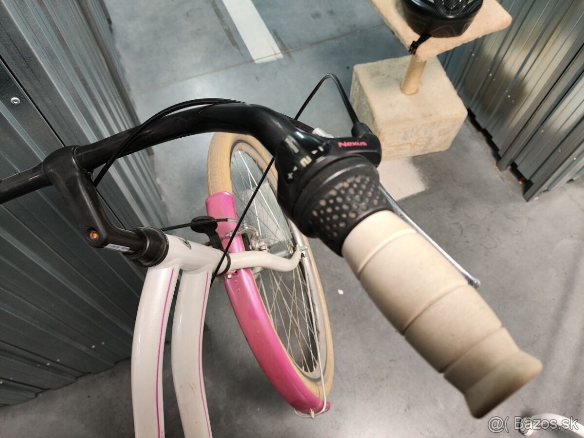 Mestský ružovy bicykel - 2