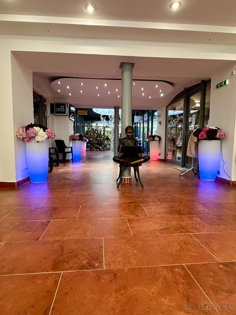 Zaujímavý obchodný priestor - Floriánova ulica - 2