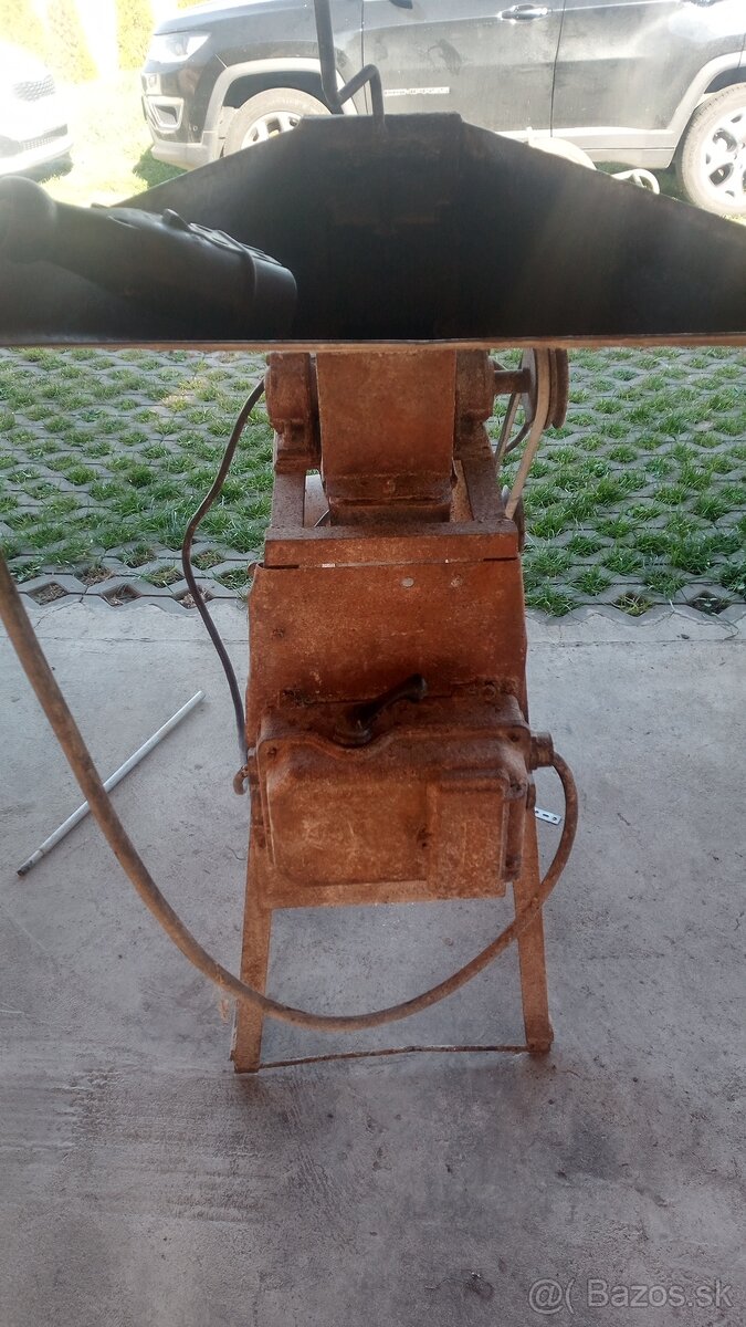 Srotovnik na obilie - 2