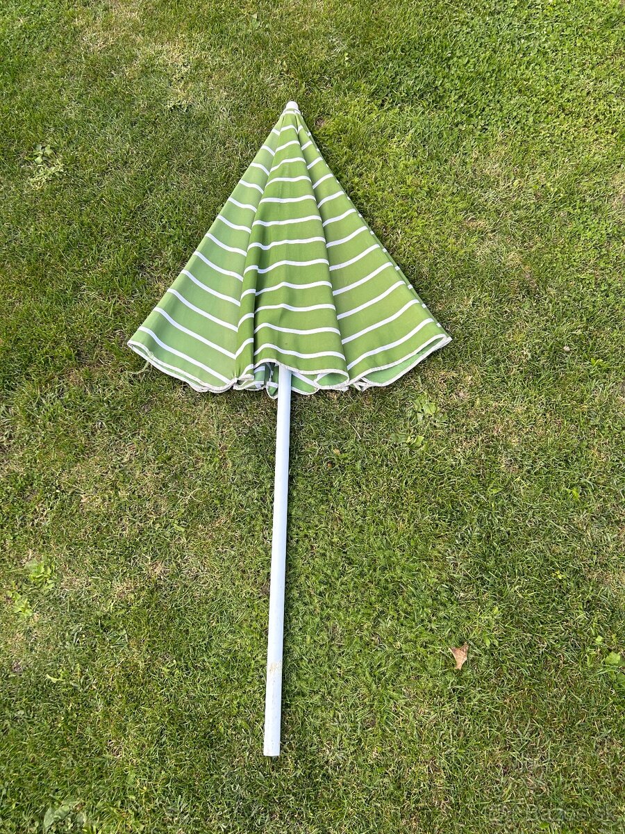 Slnecnik - 2