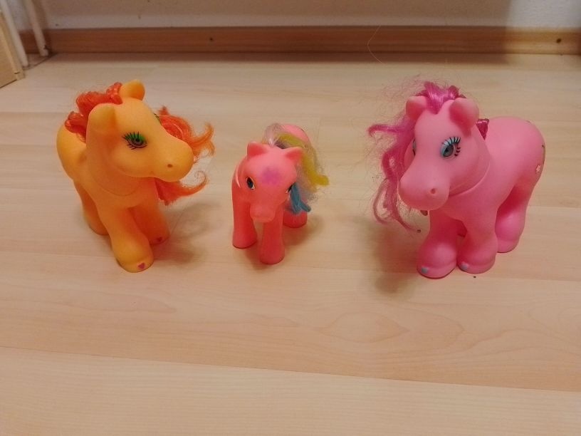 Koníky a poníky - 2