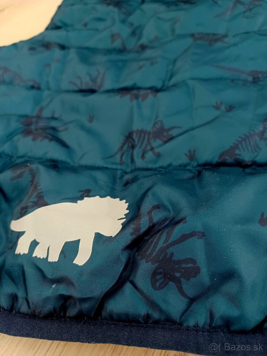 Vesta s dinosaurami 98-104 - 2