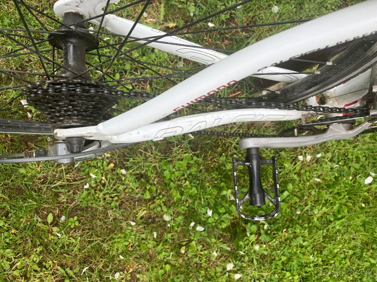 Predám cestný bicykel - 2