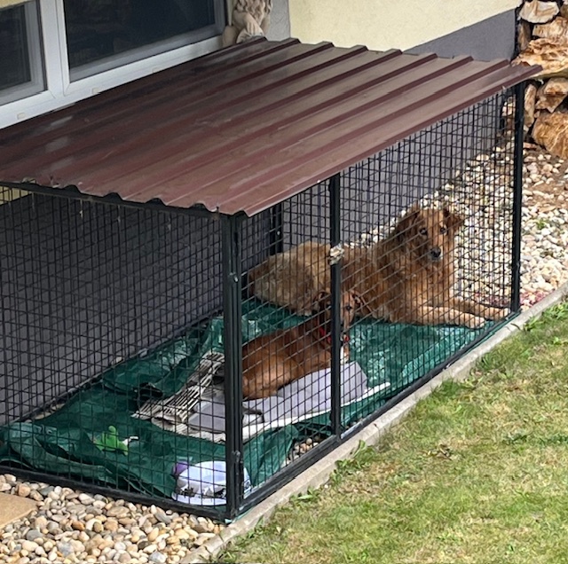 KLIETKA PRE DROBNÉ ZVIERATÁ - 2