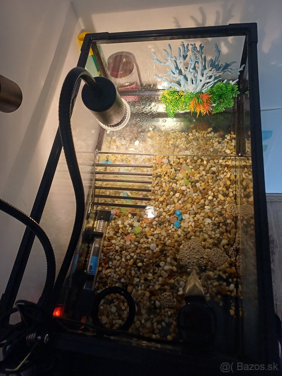 Akvarium s prislusenstvom - 2