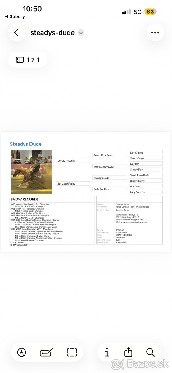 Kobyla AQH / Quarter horse - 2