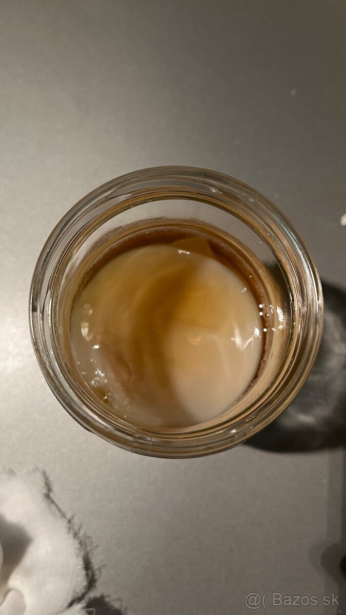 Kombucha - 2