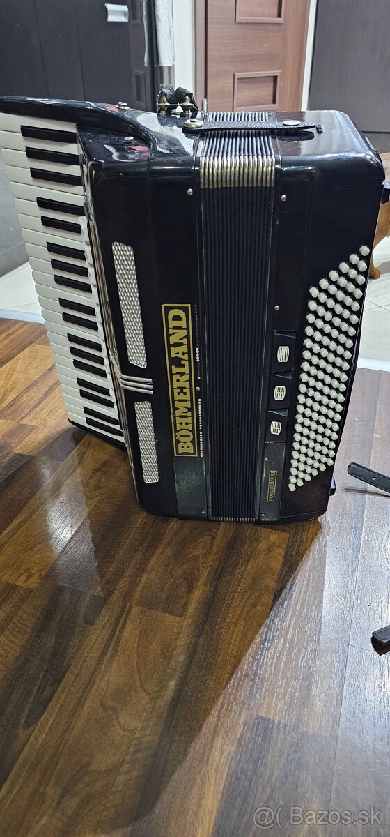 Akordeón Delicia Choral 120 bas. - 2