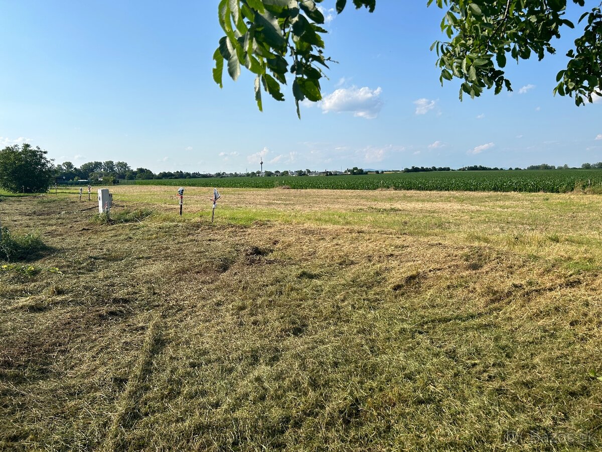 Prenájom pozemku - 2