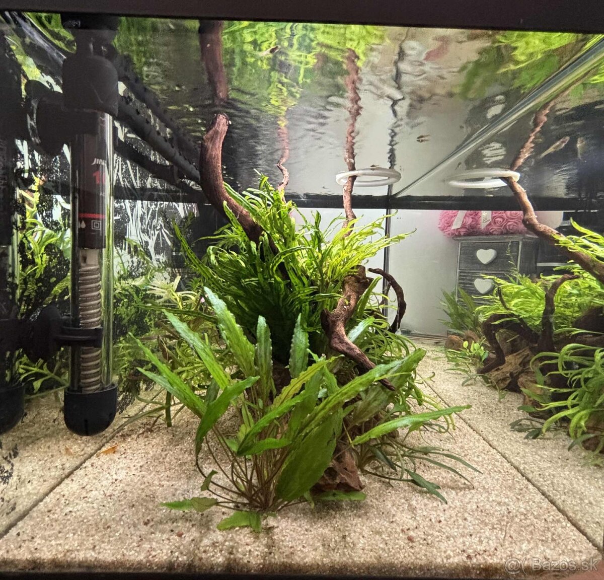 Akvárium Tetra 54l - 2