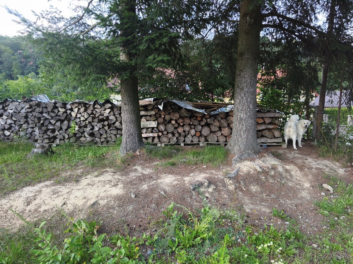 Predám palivové drevo - 2