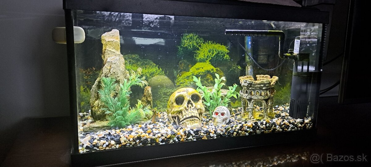Akvárium 60l - 2
