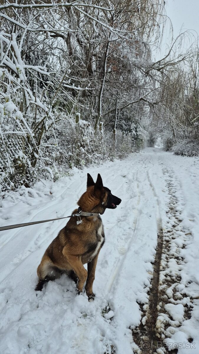 Darujem do dobrých rúk - 2