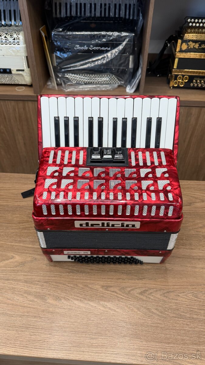 Akordeon Harmonika delicia junior 24 - 2
