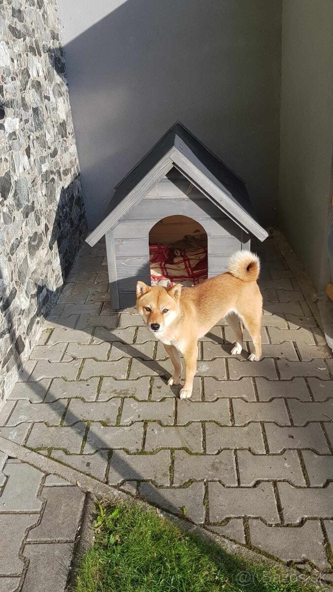 Buda, zateplená buda,zateplena buda pre psa - 2