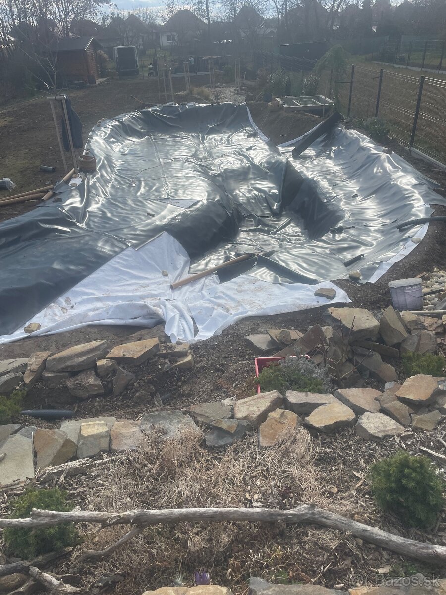 Jazierkova folia - 2