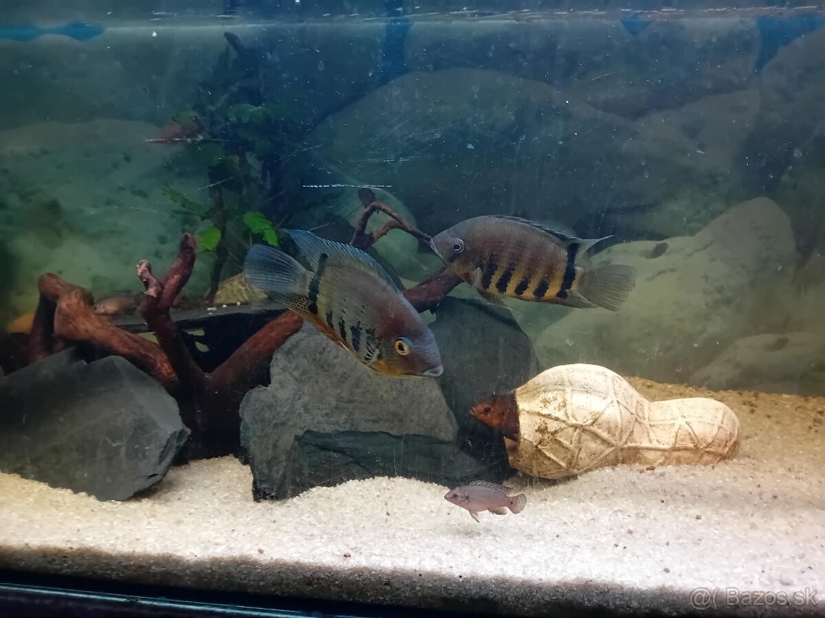 Akvarium 176 litrové - 2