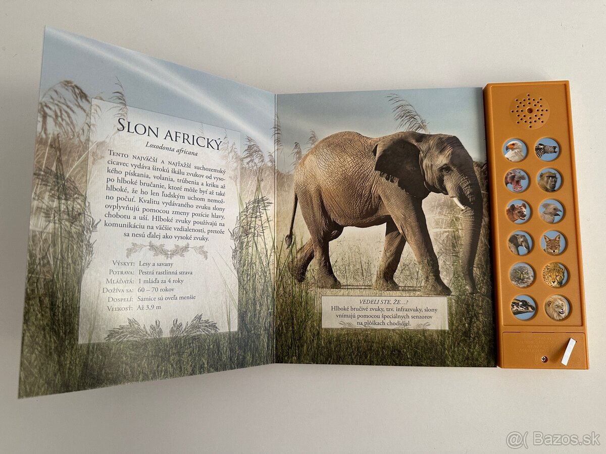 Zvukové knihy Vtáky voľnej prírody - 2