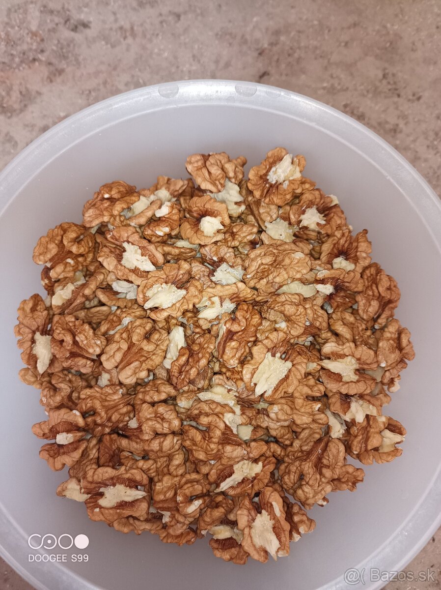 vlašské orechy - 2