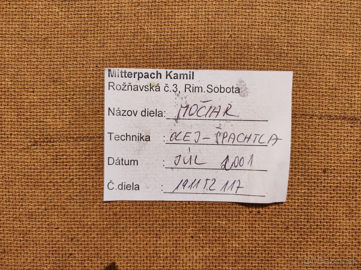 Obraz "Močiar" - 2