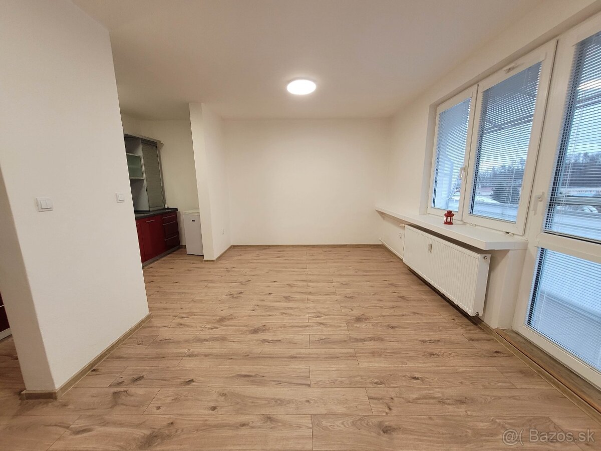 Prenájom 1 - izb byt Kanianka prerobený - 2