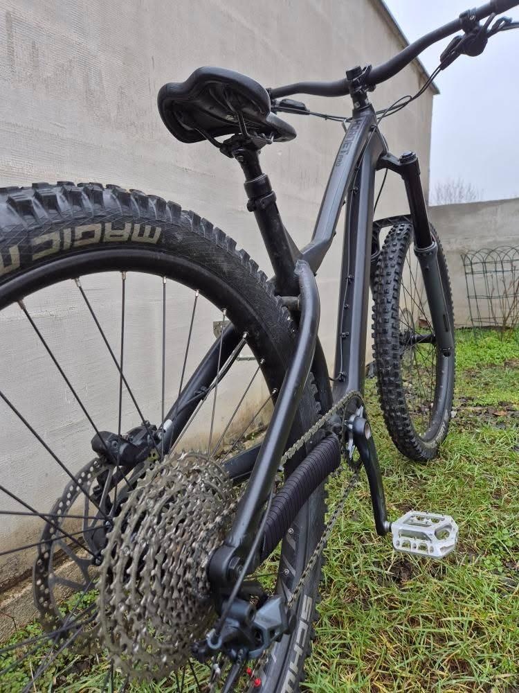 Dartmoor Hornet PRO - 2