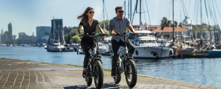 Ebike Gunai GN20 - 2