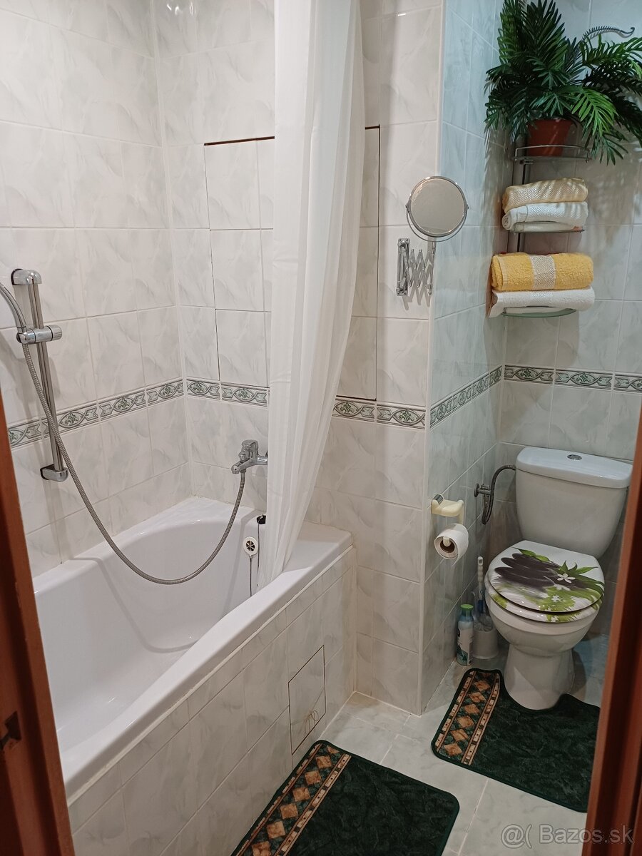 Prenajom 1izbovy byt - 2