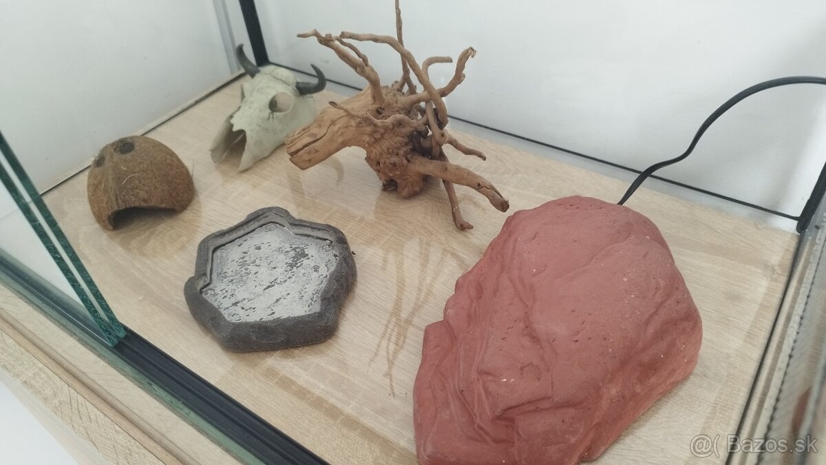 Terárium 40x60x40 - 2