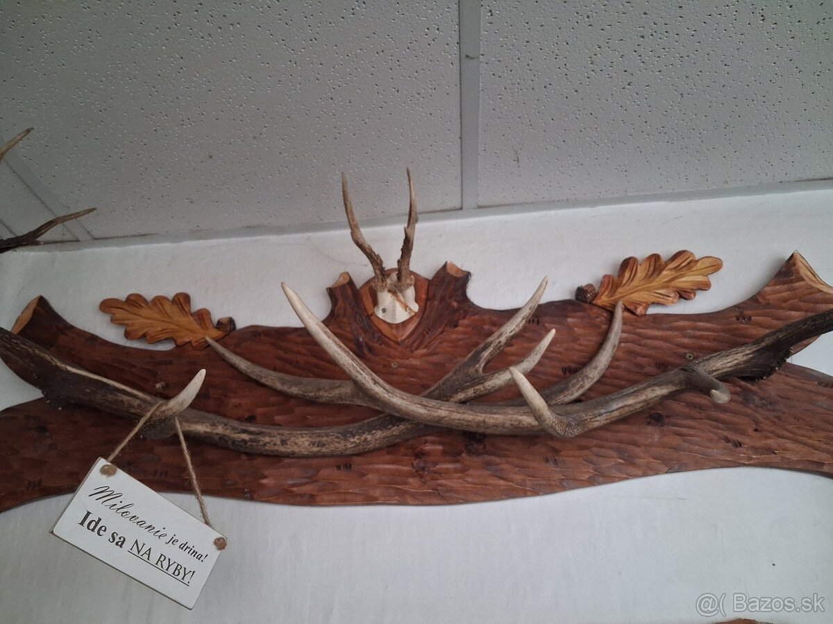 Jelenie a srncie trofeje - 2