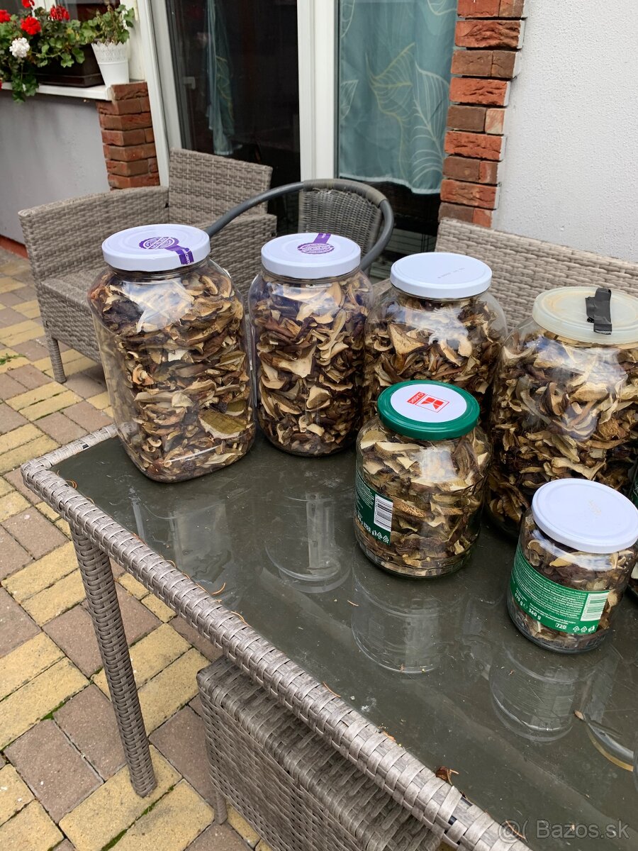 Predam susene hriby - 2