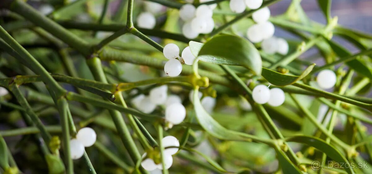 IMELO vianočný symbol šťastia - 2