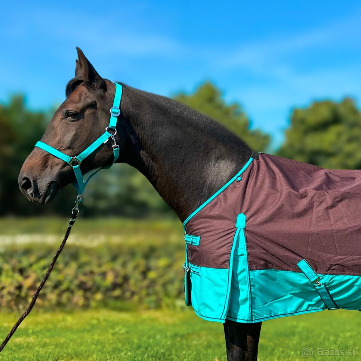 Výbehová deka 50g - 2