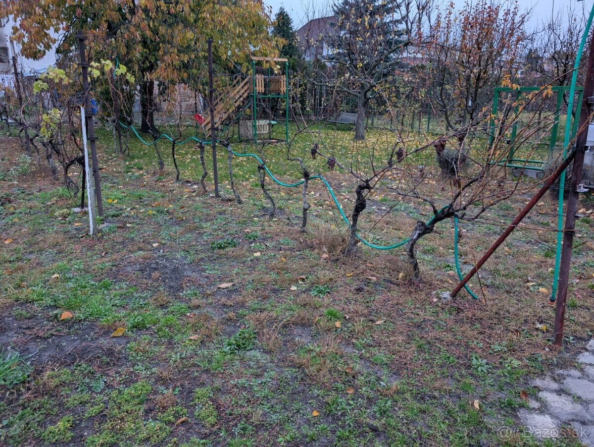 Predám rodinný dom v obci Smolenice - 2