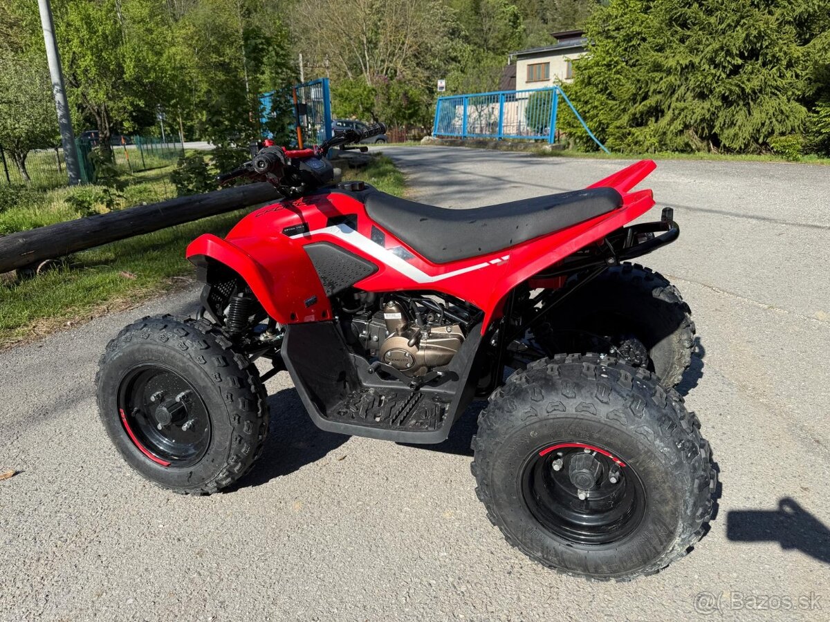 CF moto Gladiator 110 - 2