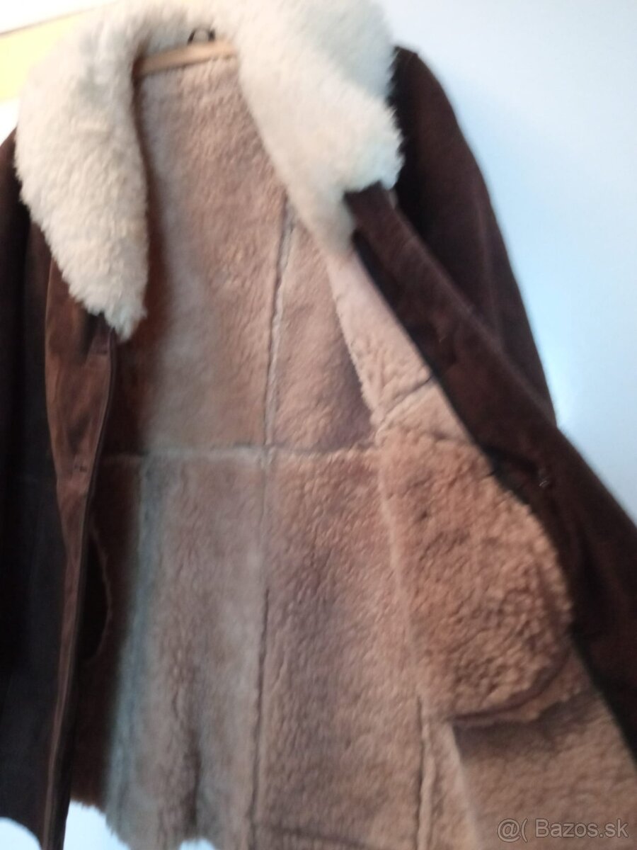 Slovenský kožuch - 2