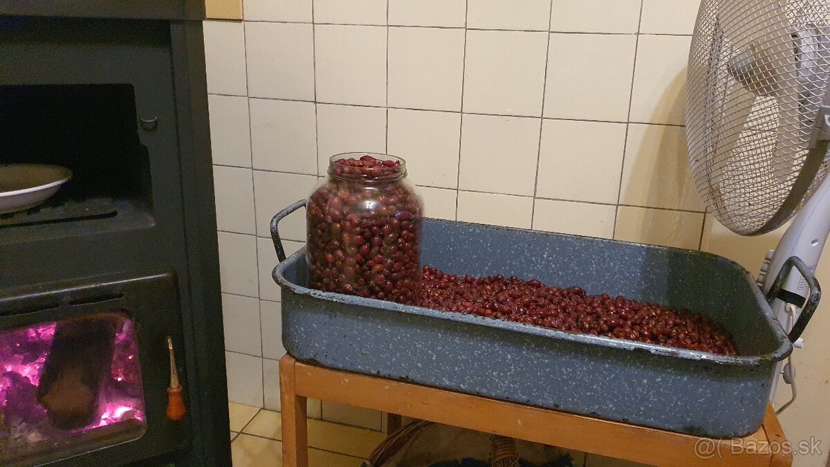 Predám šípky v štvor litrovom pohári - 2