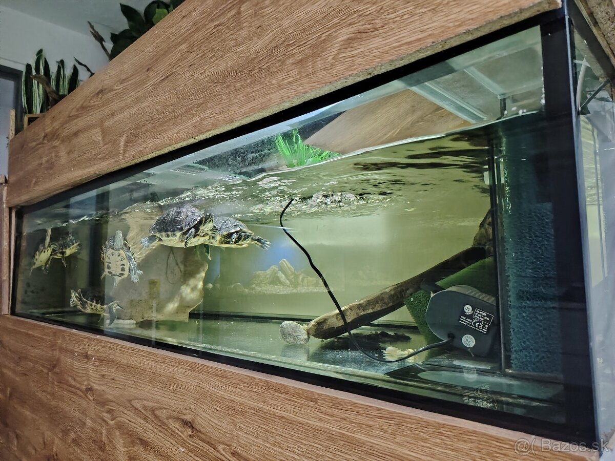 Predám akvárium - 2