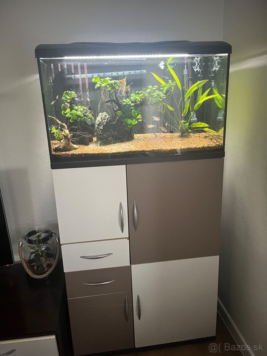 Predám akvárium - 2