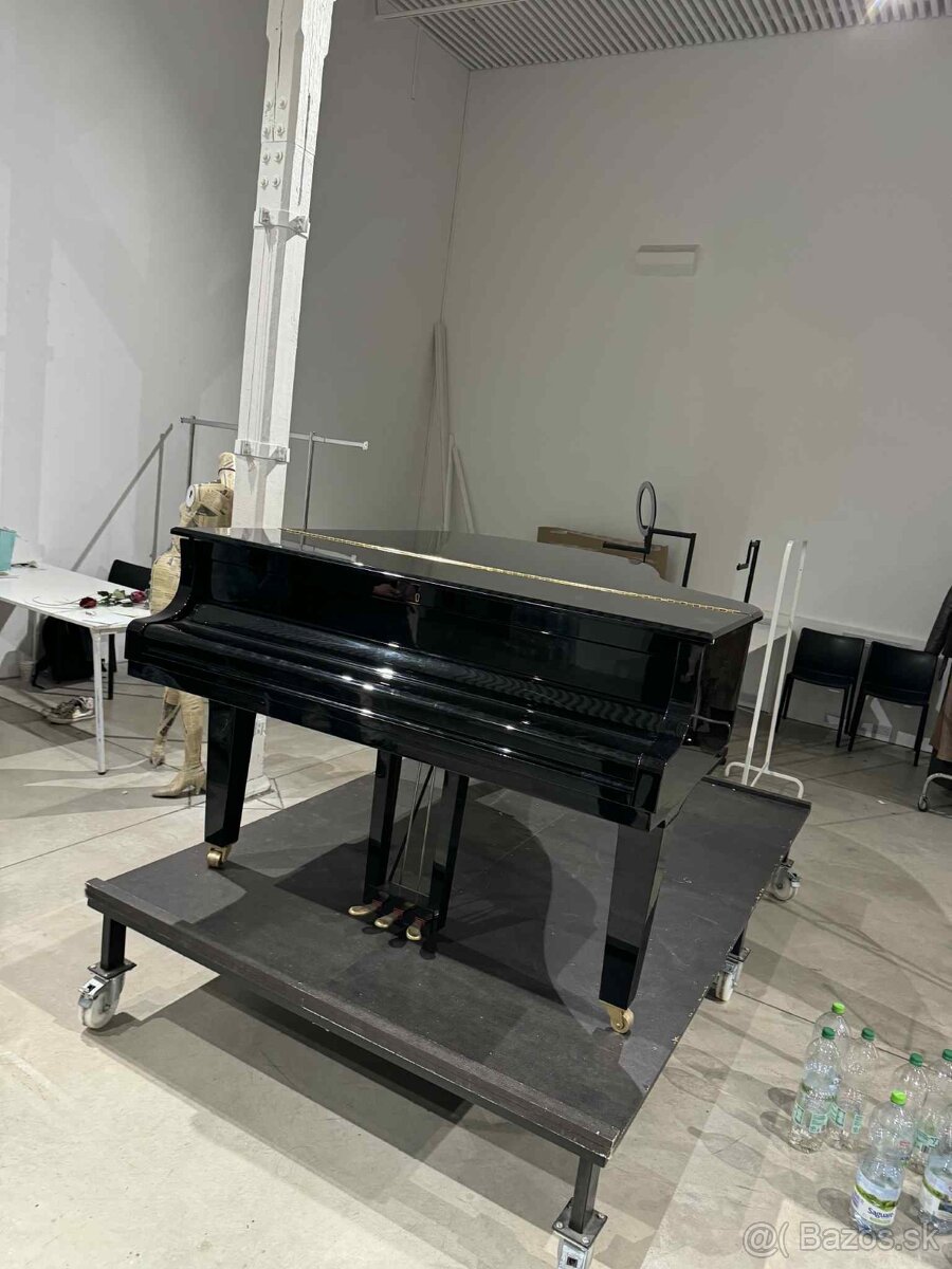 PROFESIONÁLNE SŤAHOVANIE VYPRATÁVANIE PREPRAVA MONTÁŽ KE/KS - 2