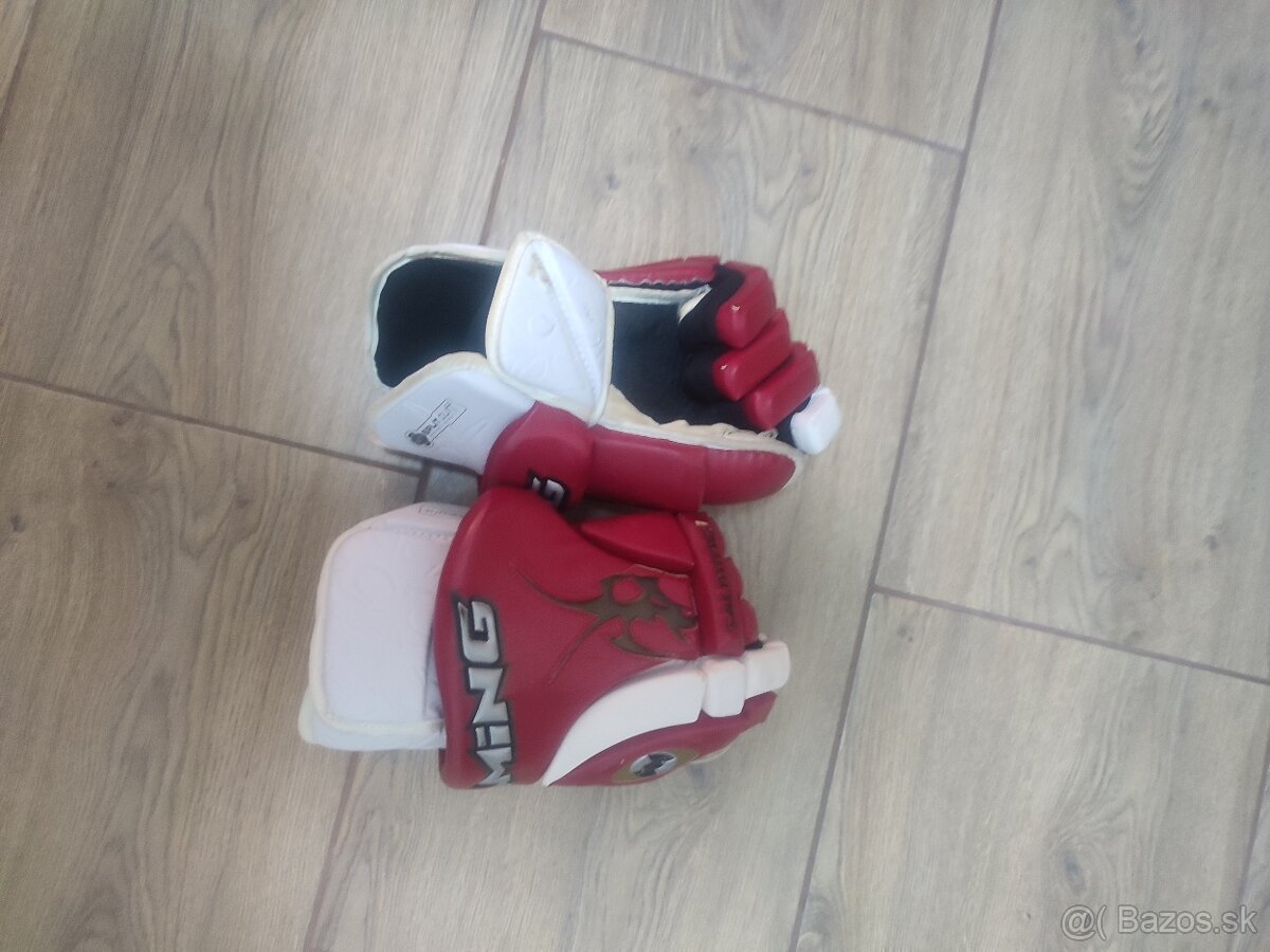 Hokejova vystroj - 2