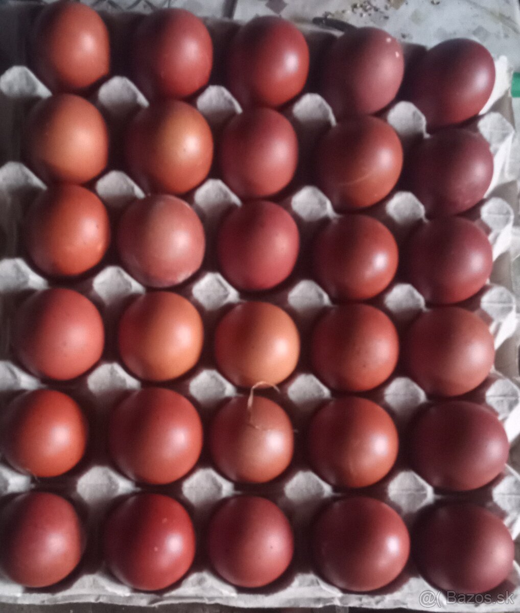 Násadové vajíčka - 2