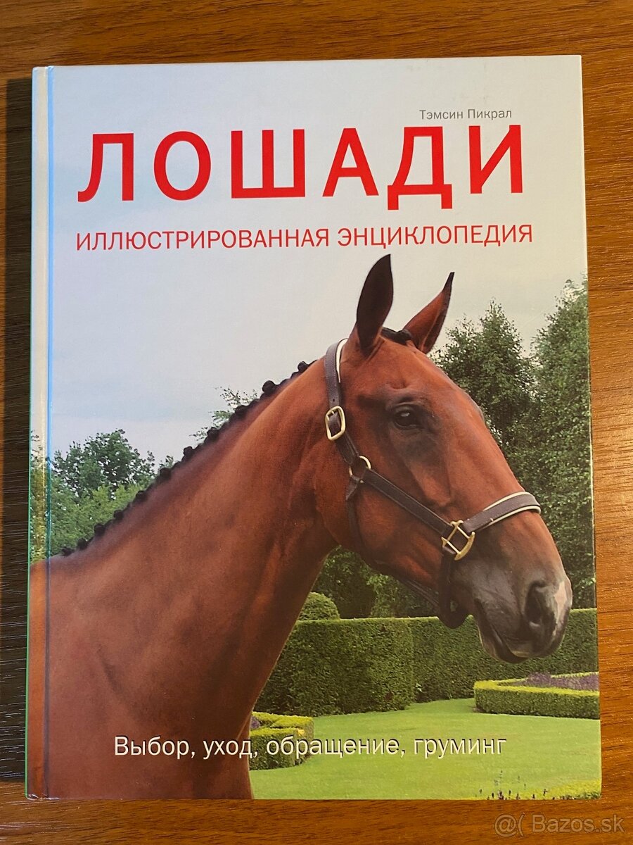 V ruskom jazyku pre deti knihy o koňoch - 2