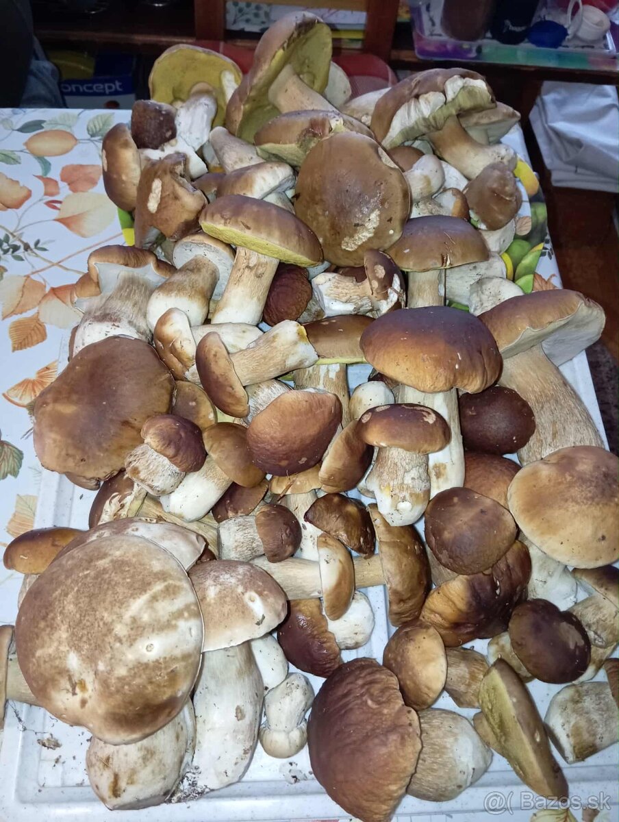 Sušené hríby - 2