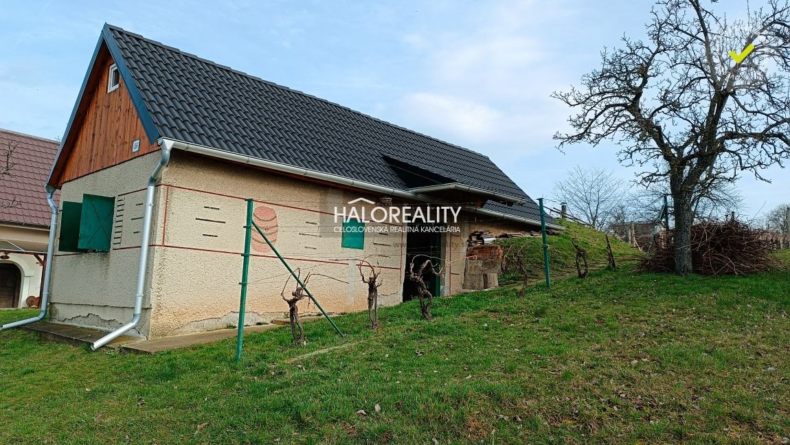 HALO reality - Predaj, rekreačný pozemok Žemberovce, s vinič - 2