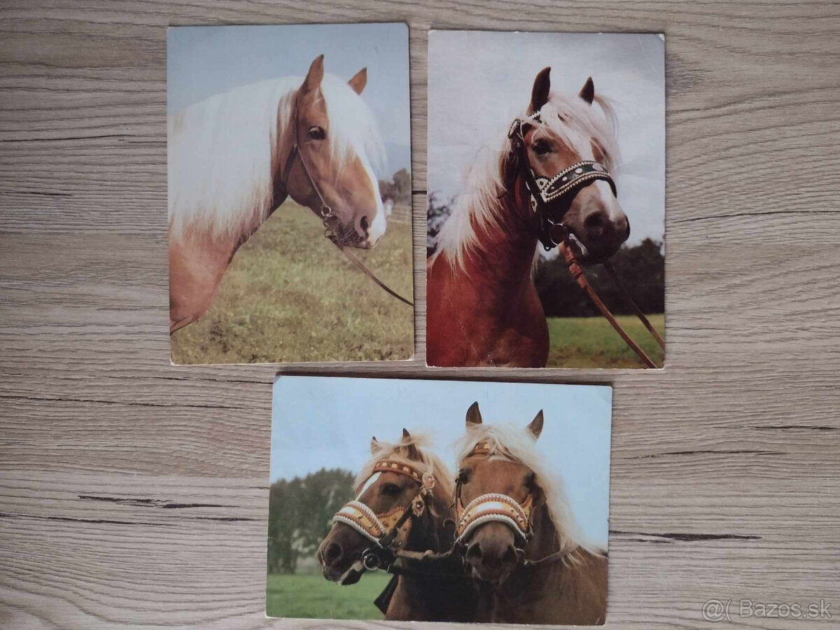 Predám pohľadnice - zvieratá, bábiky, doprava, ... - 2
