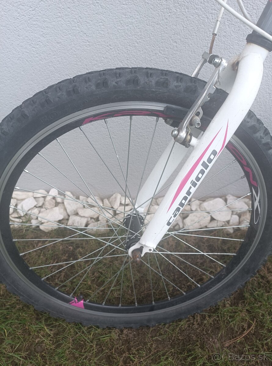 Detský bicykel Capriolo - 2